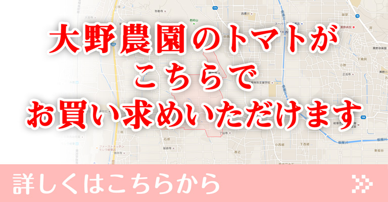 大野農園のトマトがこちらでお買い求めいただけます